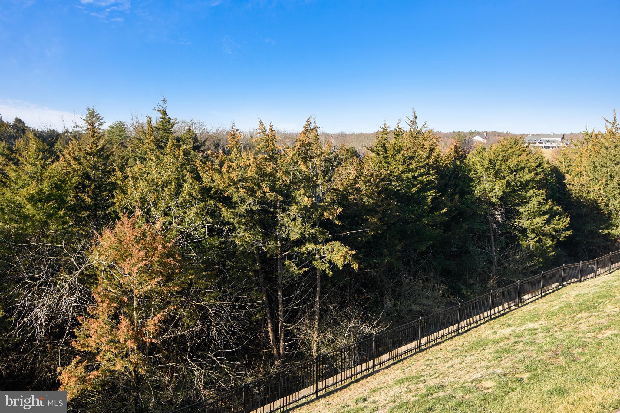 LAKE FREDERICK - Residential