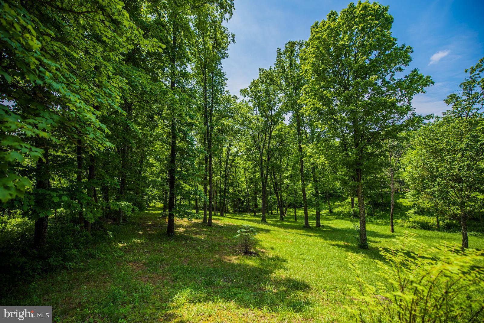 COOLFONT - Residential