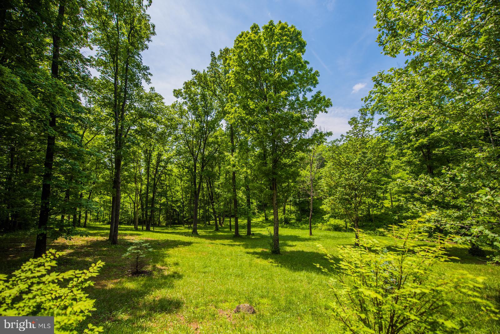 COOLFONT - Residential