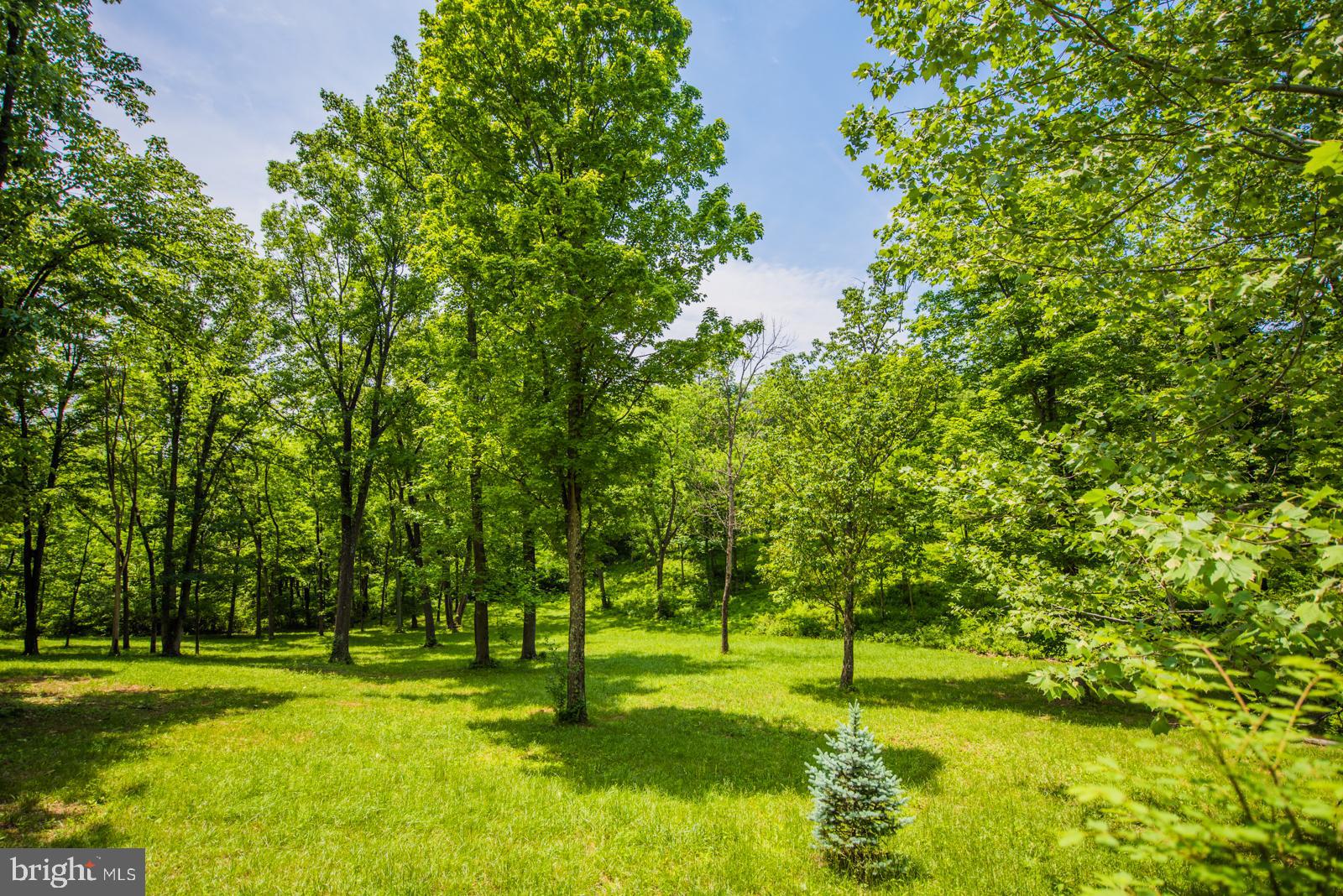 COOLFONT - Residential