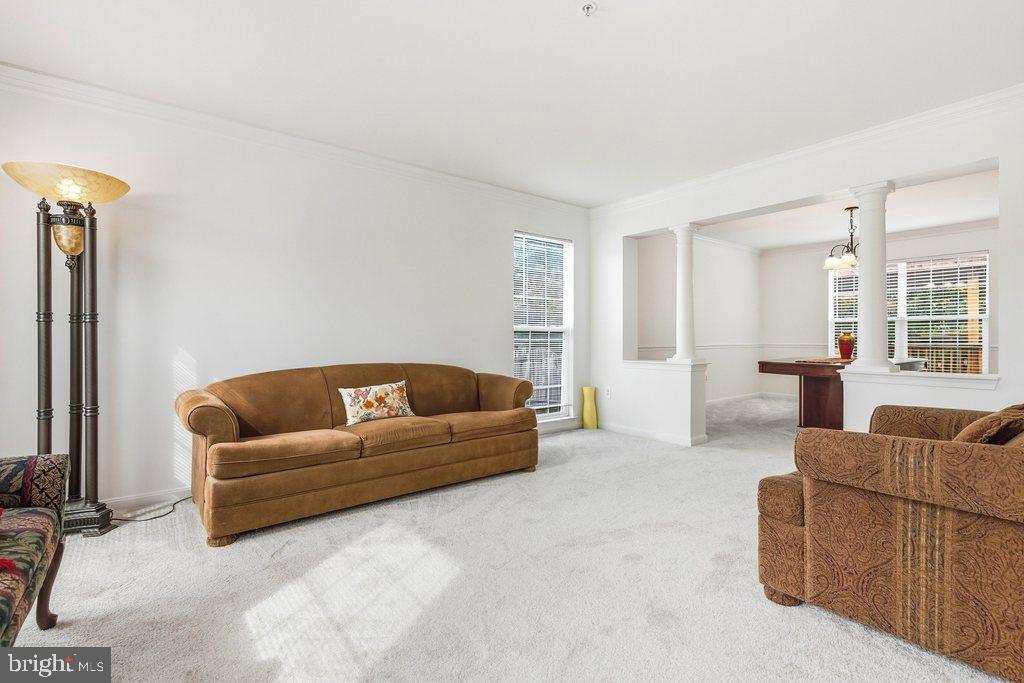 SNOWDEN POND - Residential