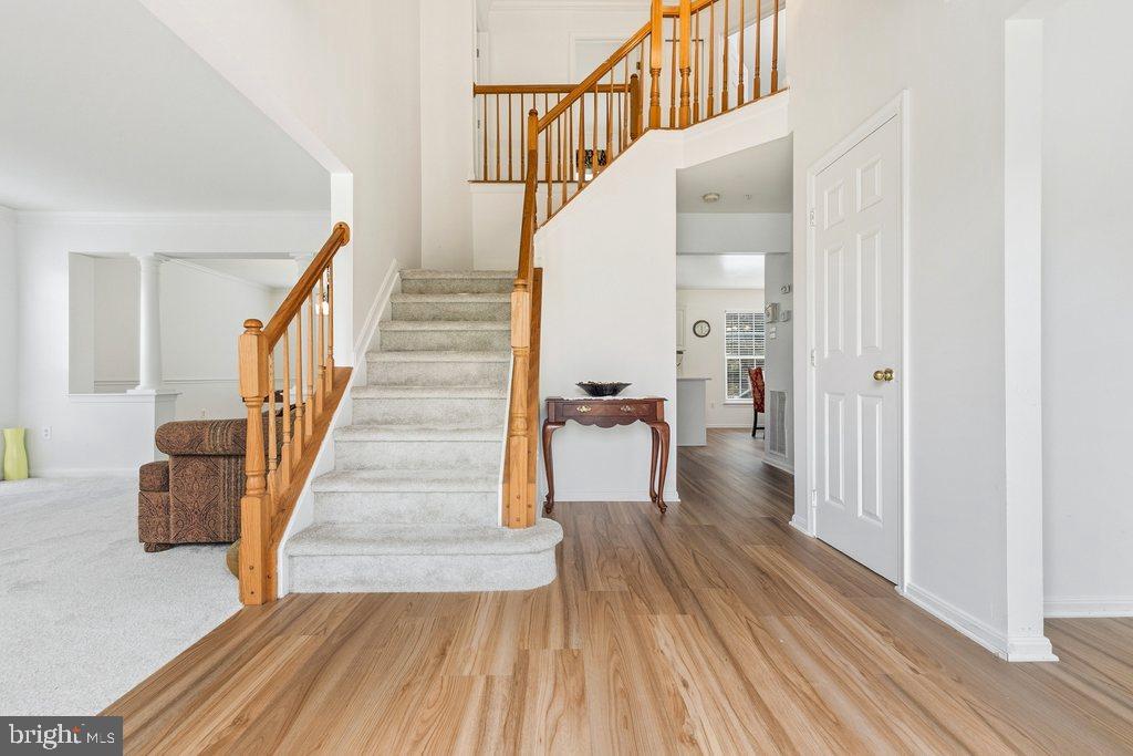 11000 SNOWDEN POND ROAD