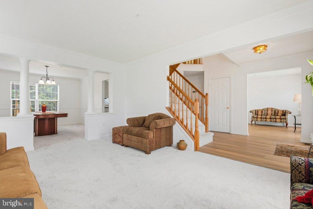 SNOWDEN POND - Residential