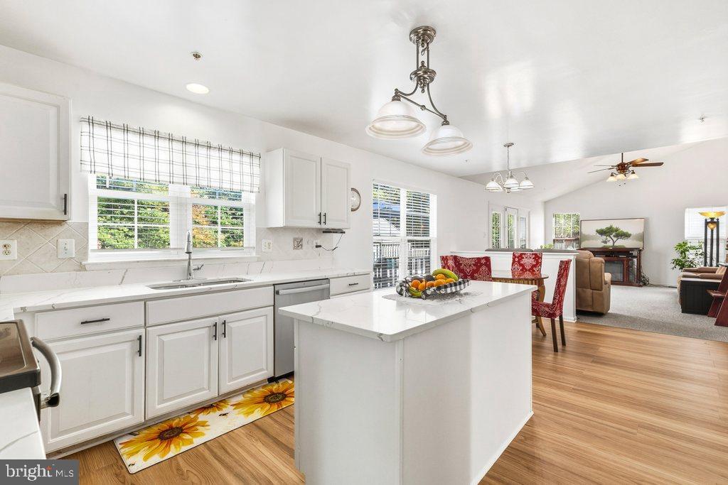 SNOWDEN POND - Residential