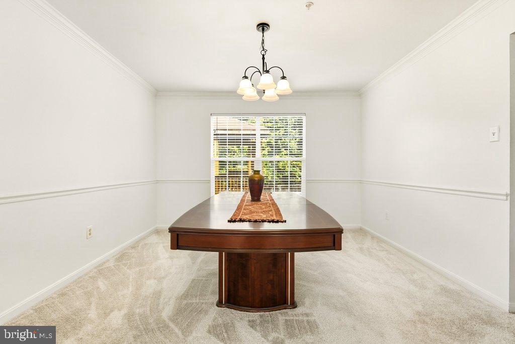 SNOWDEN POND - Residential