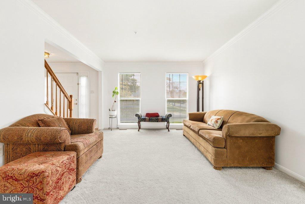 SNOWDEN POND - Residential