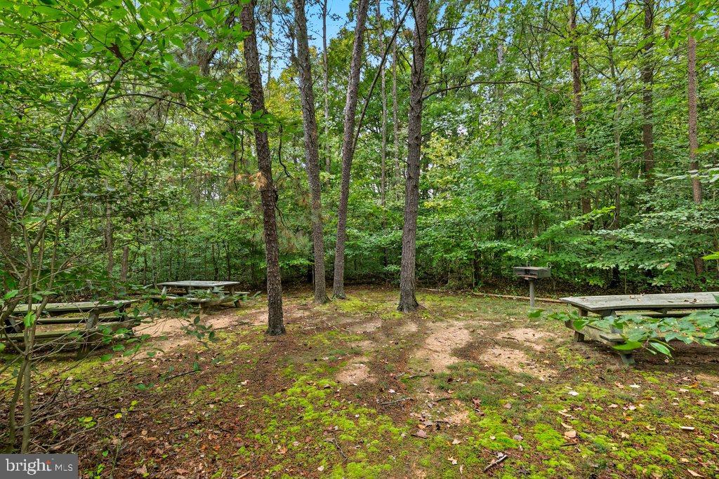 SNOWDEN POND - Residential