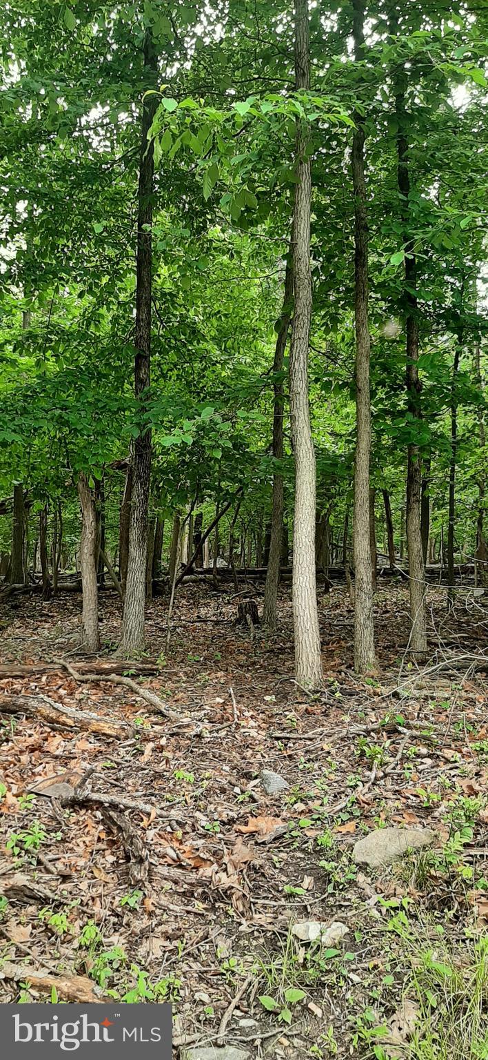 Raw land, needs well/septic. Level lot. Does have large rock outcroppings. Only one mile from turn at Gate One. Lot is not far from turn onto Windsong, Windsong is a gravel road. Interior wooded lot. Corners have been marked by Surveyor.