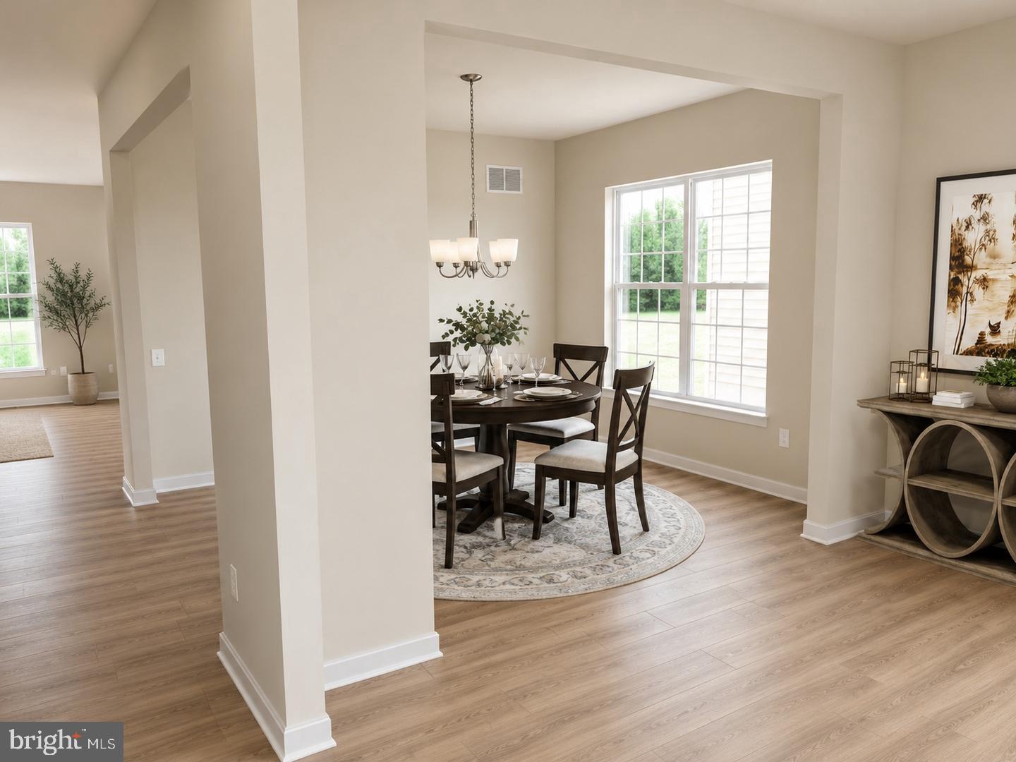 197 N CONSTITUTION DRIVE MONTCHANIN PLAN