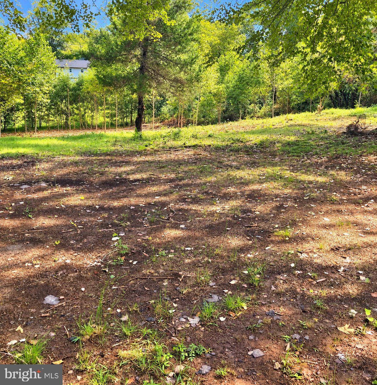 16905 EAGLE HARBOR ROAD