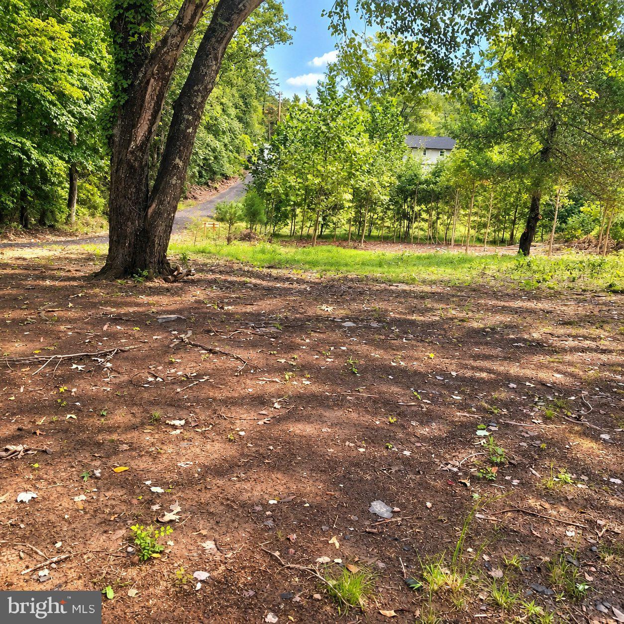 16905 EAGLE HARBOR ROAD
