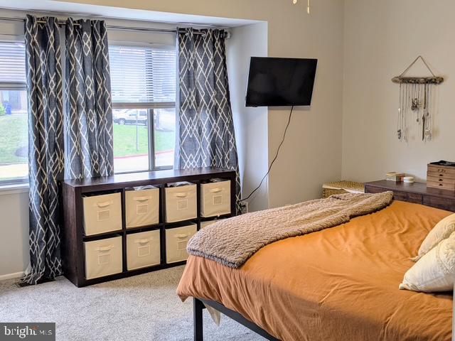 MONTGOMERY WOODS - Residential