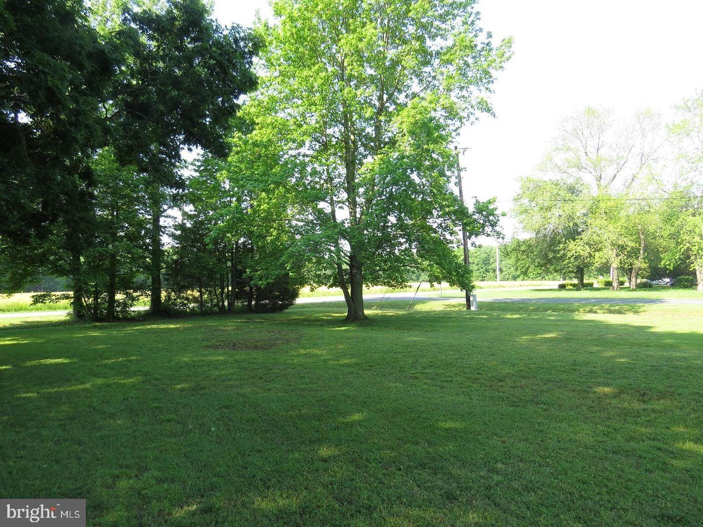 100 FOREST ROAD