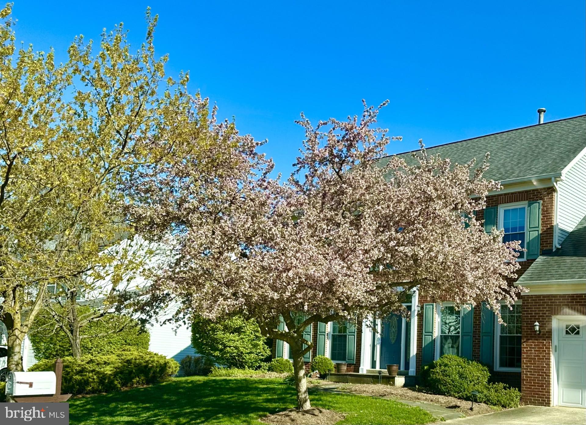 12005 BACKUS DRIVE