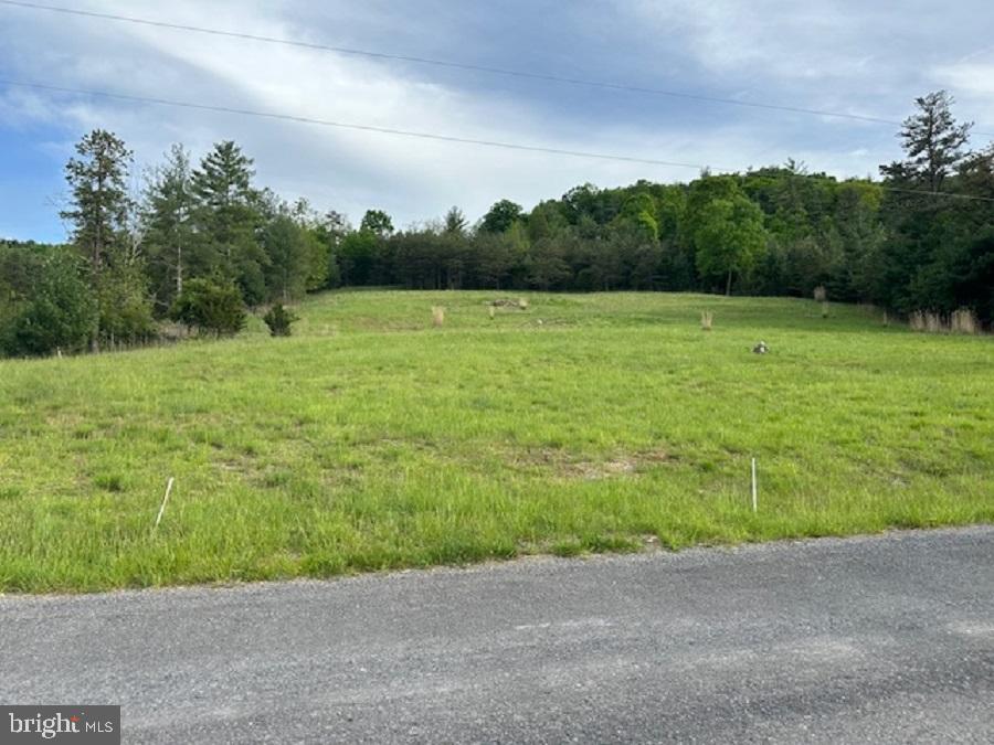 SHERWOOD FOREST/THORNY MEADOWS - Land