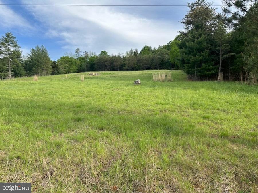 SHERWOOD FOREST/THORNY MEADOWS - Land