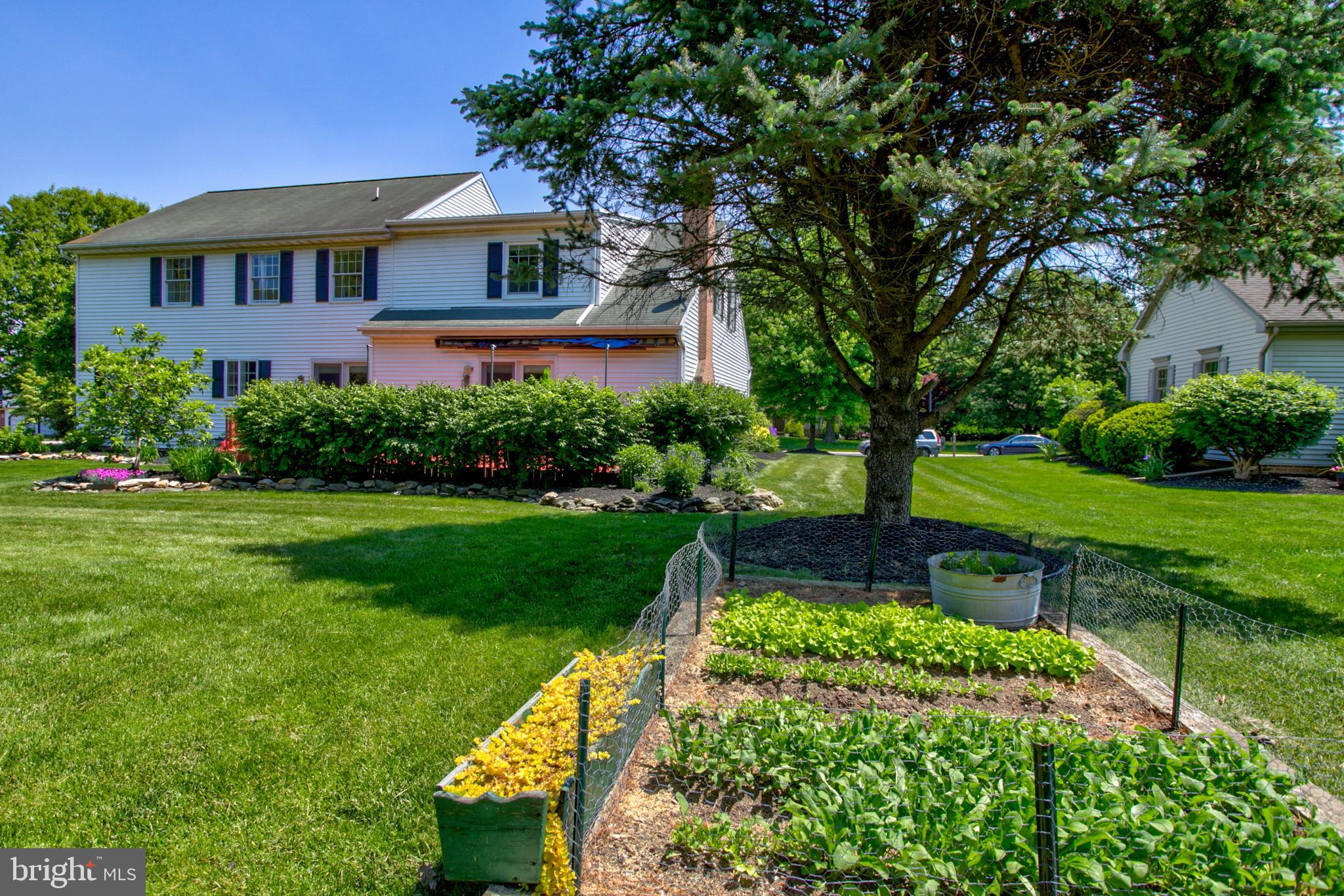 MAPLES - Residential