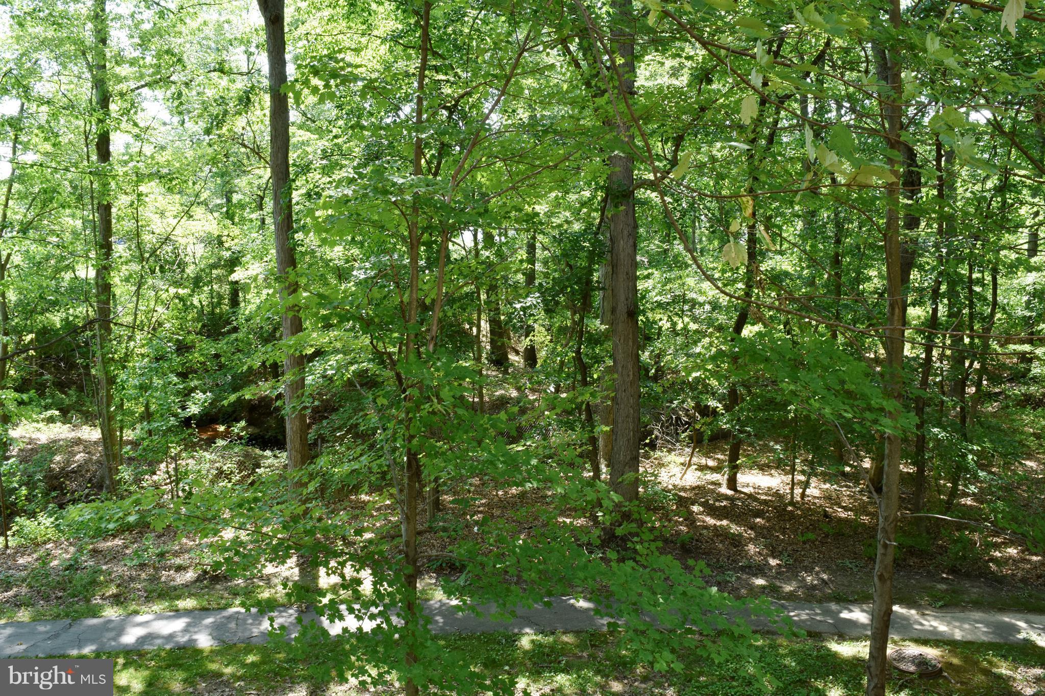 MONTPELIER HILLS PLAT 21 - Residential