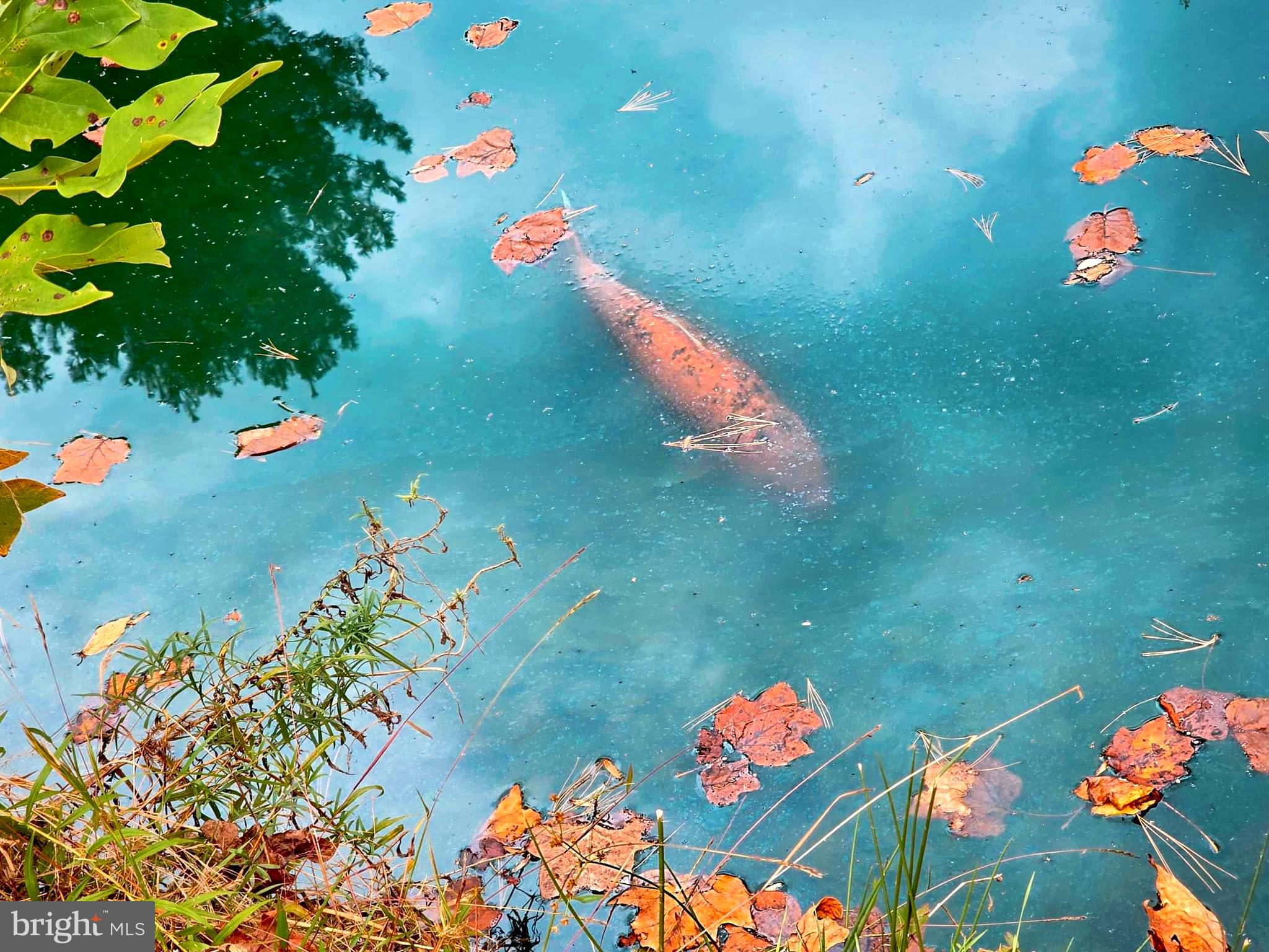 NONE, RURAL - Residential Income