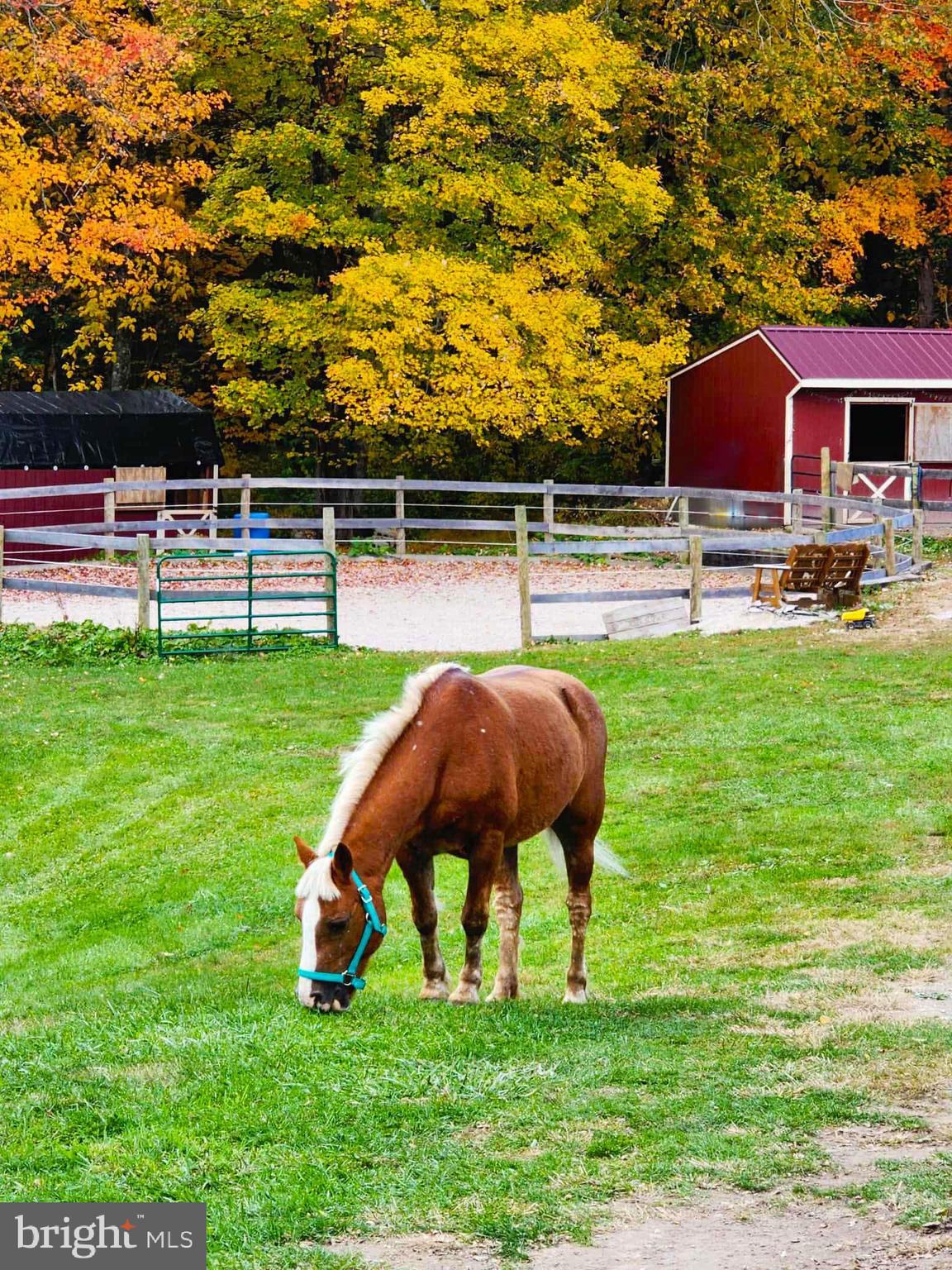 NONE, RURAL - Residential Income
