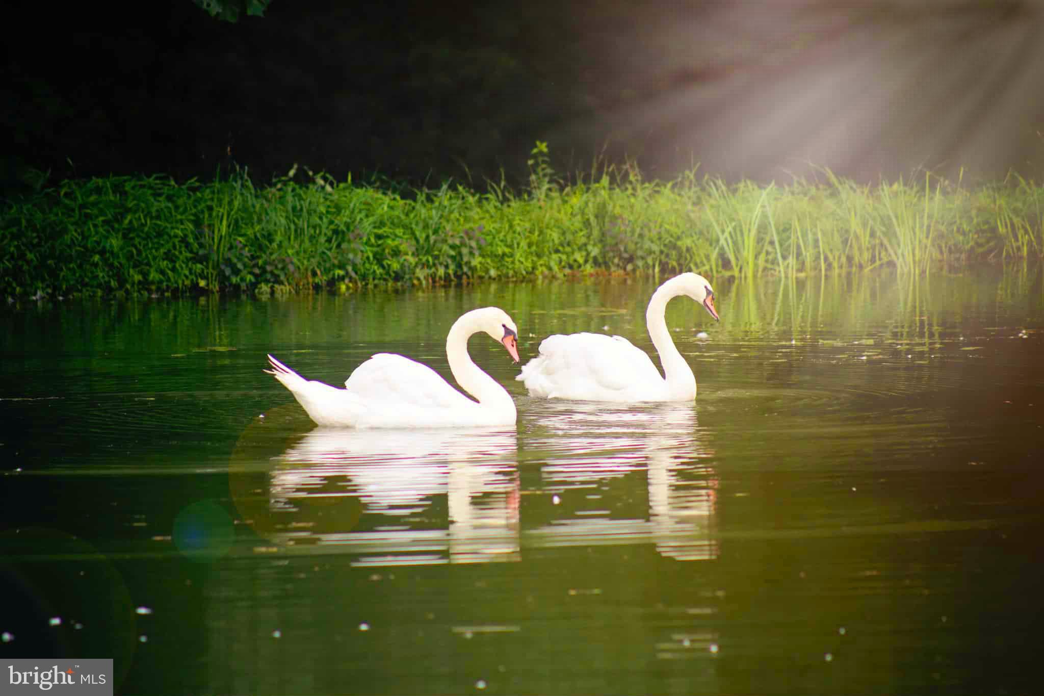 NONE, RURAL - Residential Income