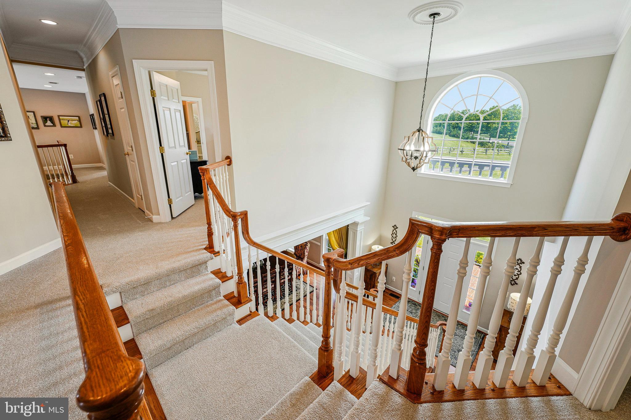 THE PADDOCKS AT DOWDEN DOWNS - Residential