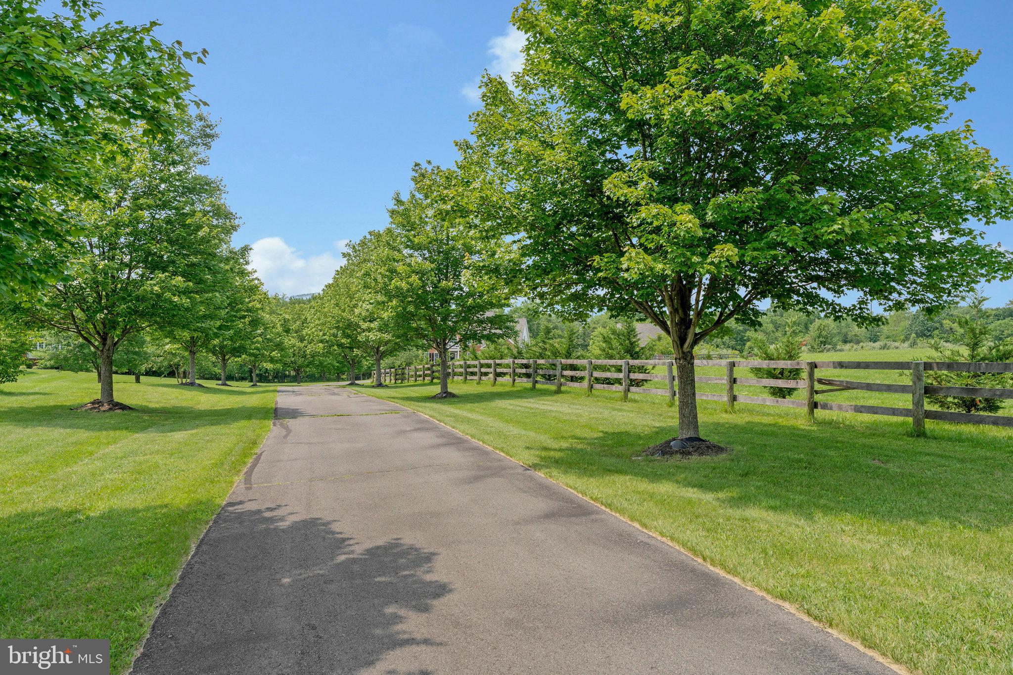 THE PADDOCKS AT DOWDEN DOWNS - Residential