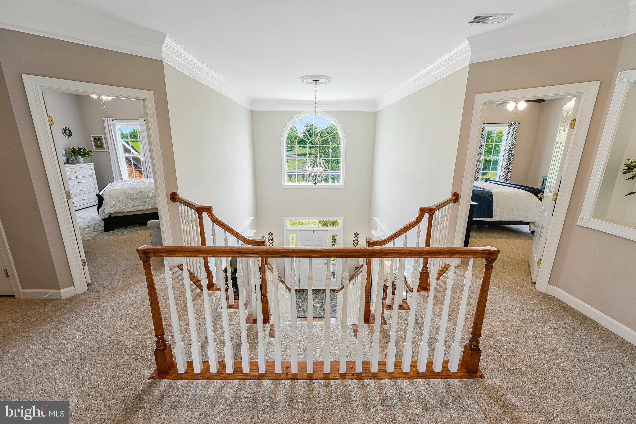 THE PADDOCKS AT DOWDEN DOWNS - Residential