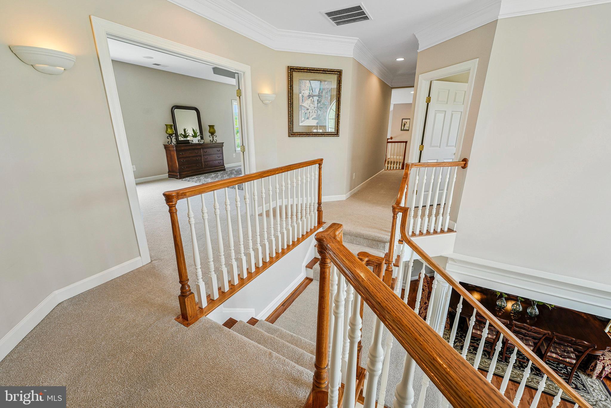 THE PADDOCKS AT DOWDEN DOWNS - Residential