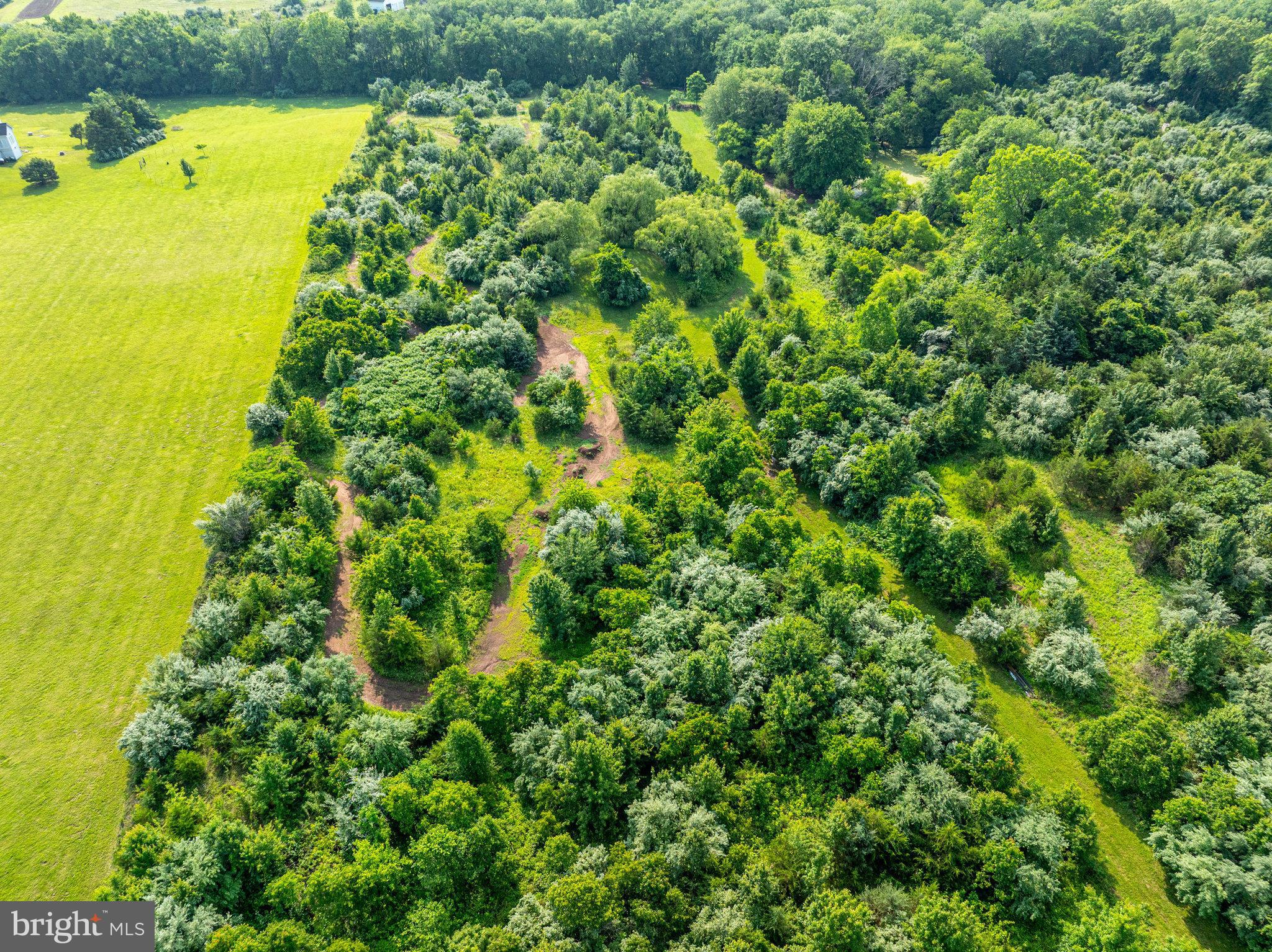 THE PADDOCKS AT DOWDEN DOWNS - Residential