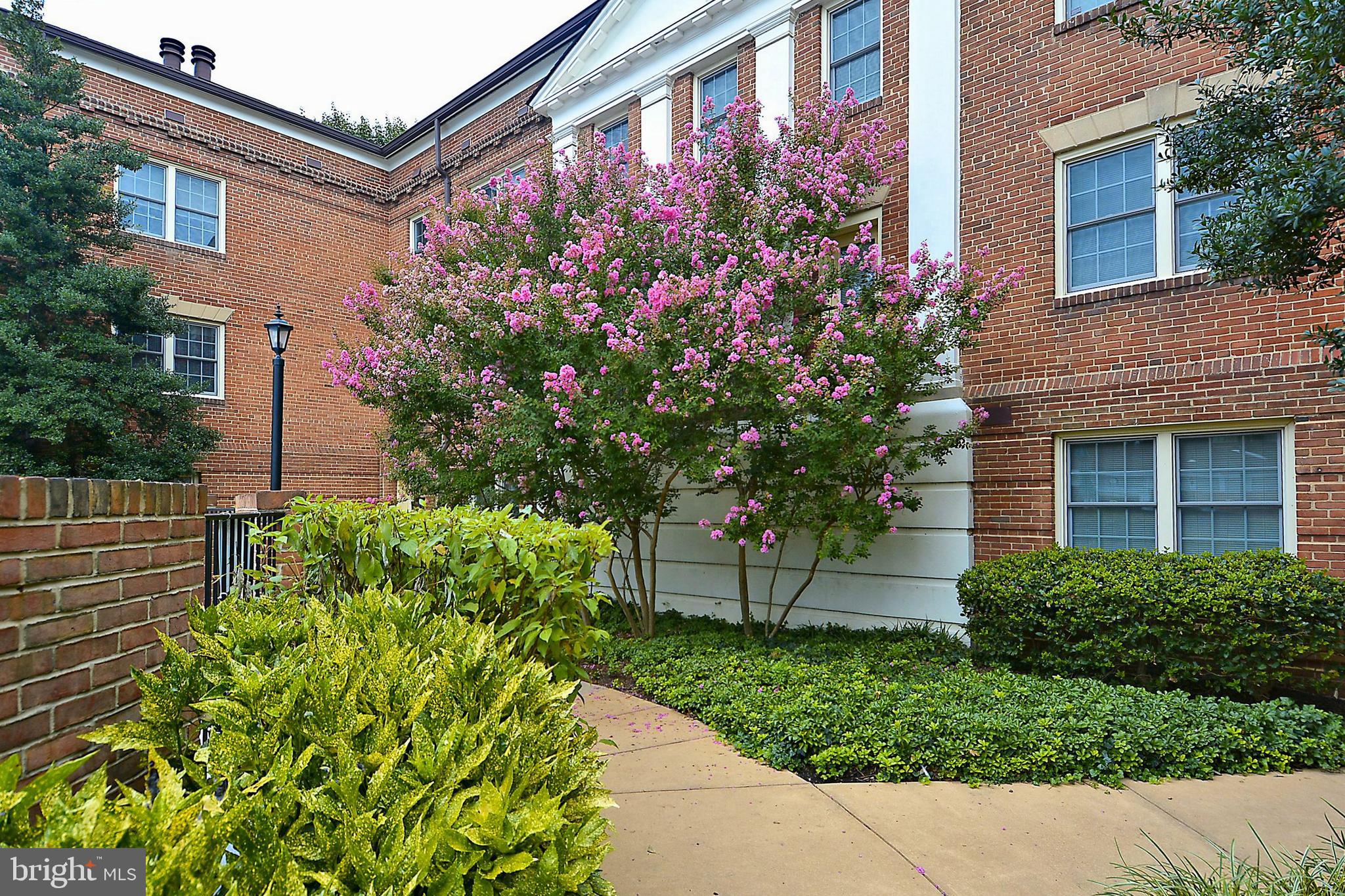 CANAL PLACE - Residential