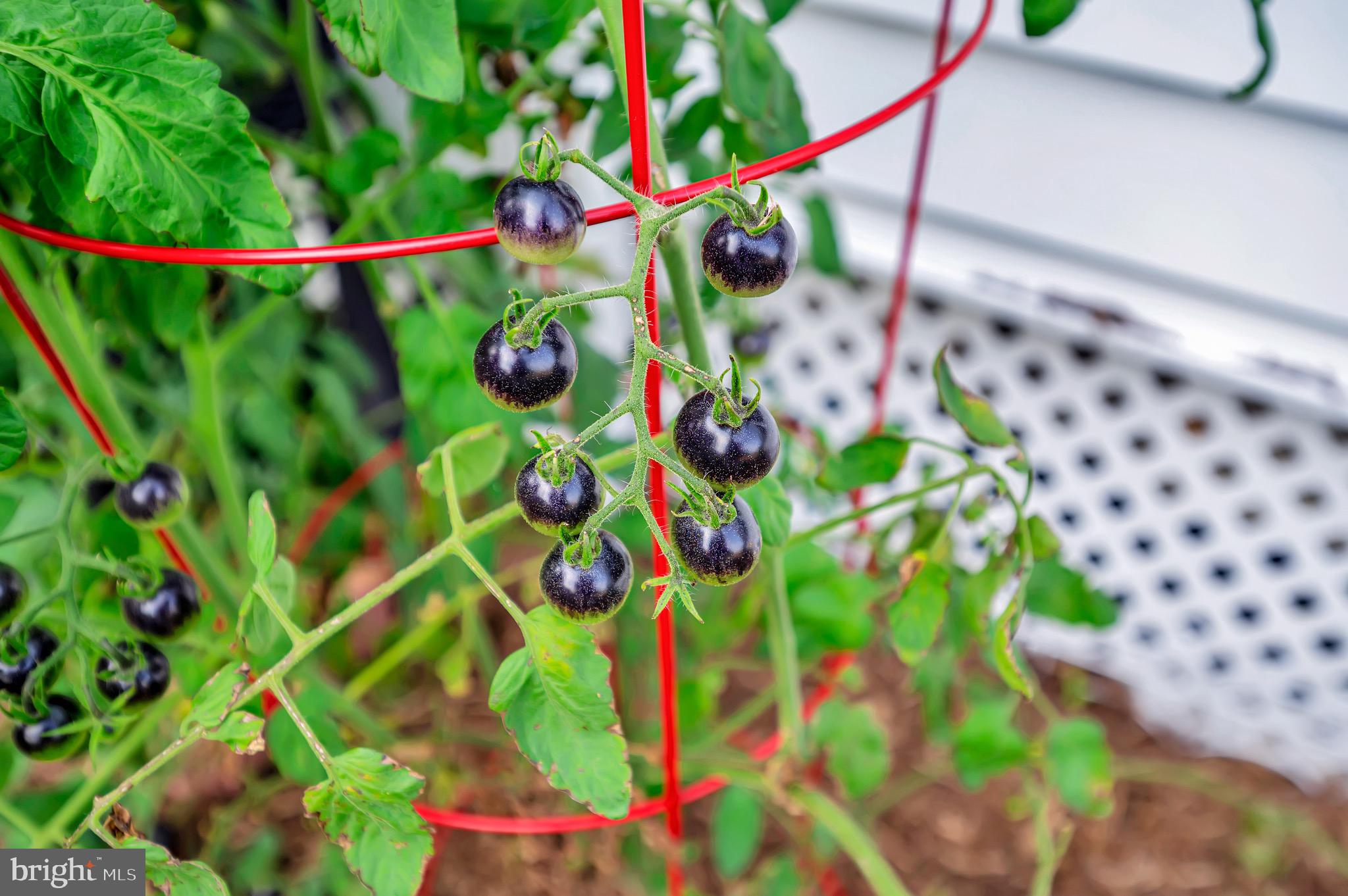 CLEARVIEW HEIGHTS - Residential