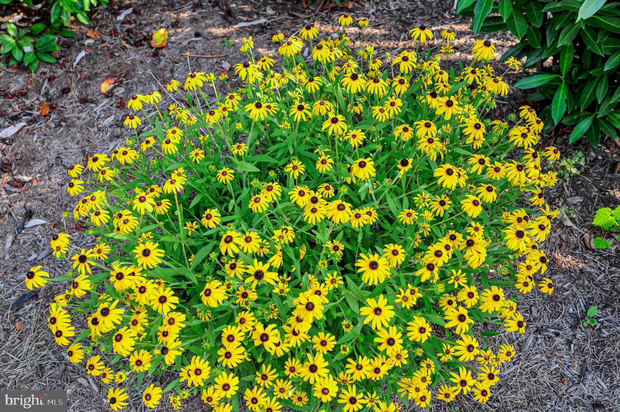 CLEARVIEW HEIGHTS - Residential