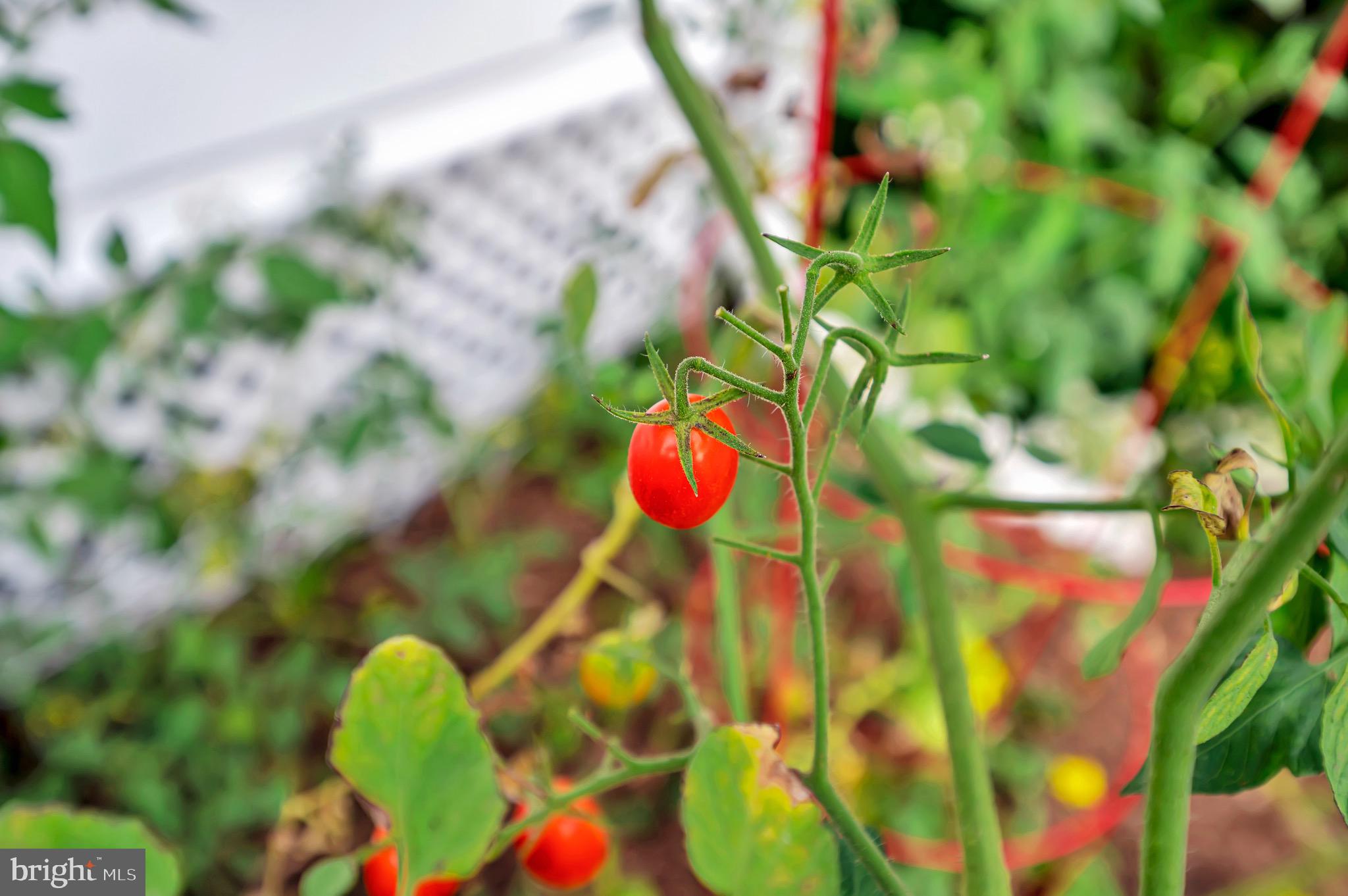 CLEARVIEW HEIGHTS - Residential