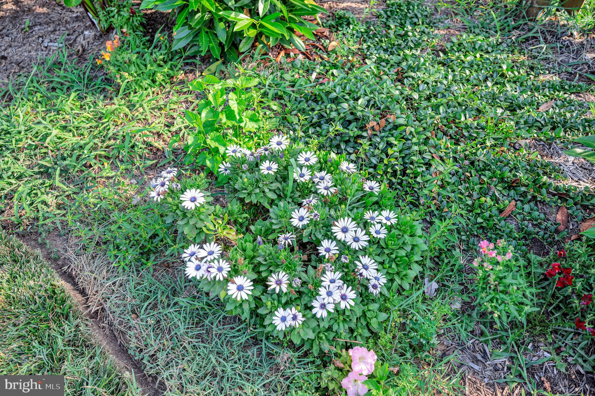 CLEARVIEW HEIGHTS - Residential