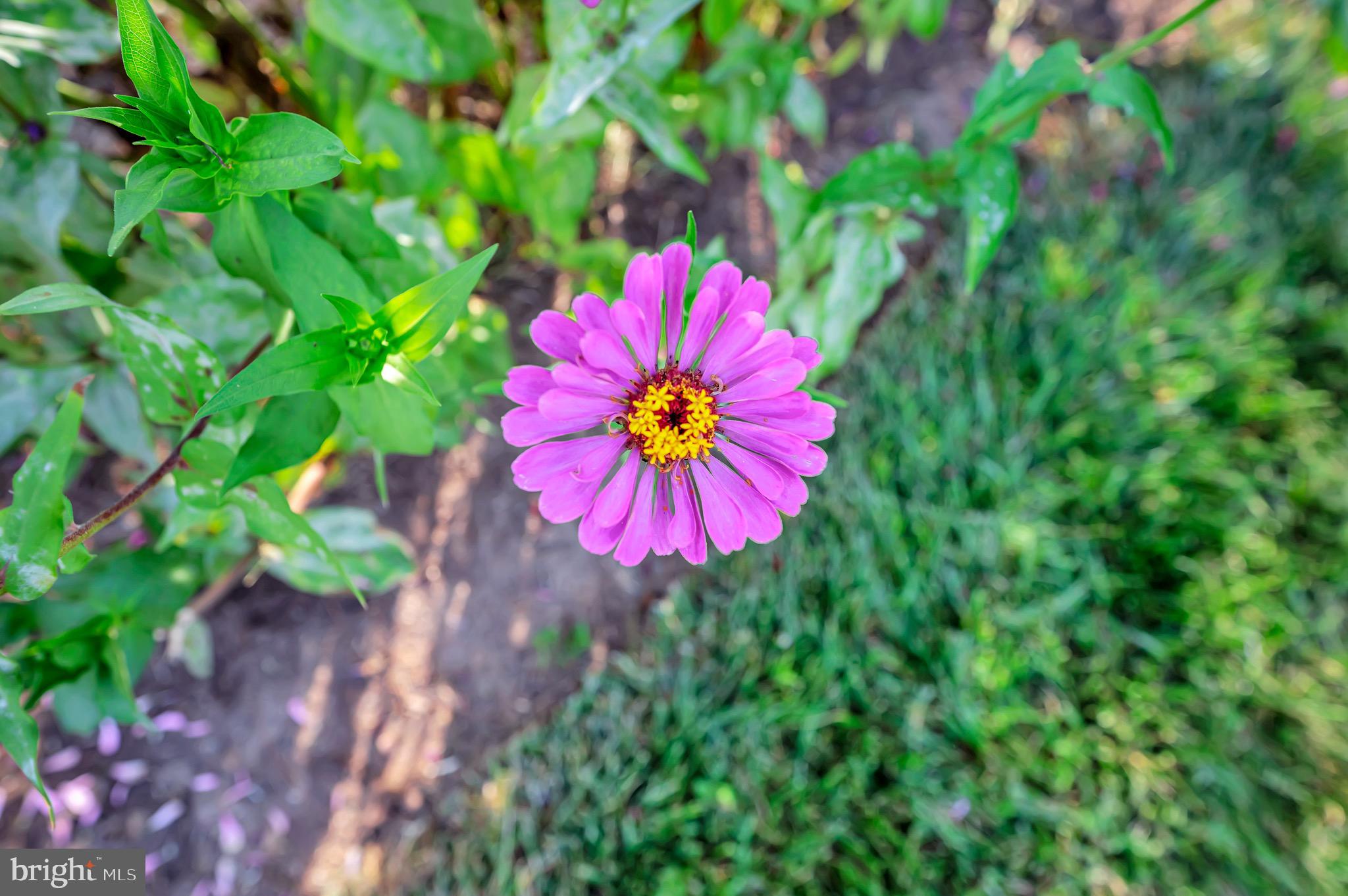 CLEARVIEW HEIGHTS - Residential