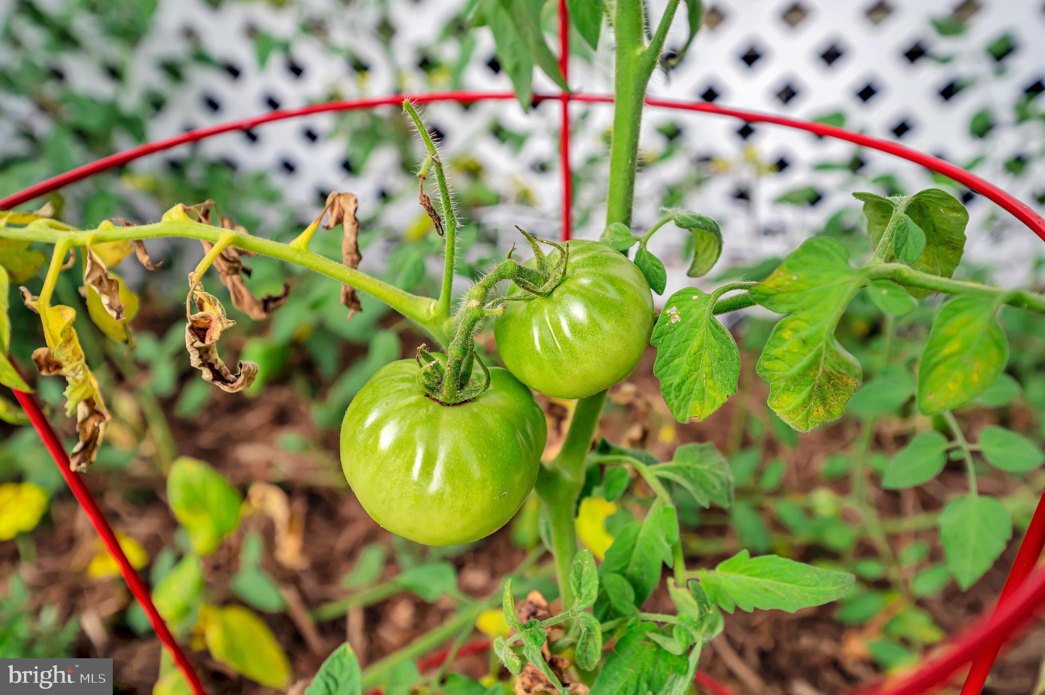 CLEARVIEW HEIGHTS - Residential