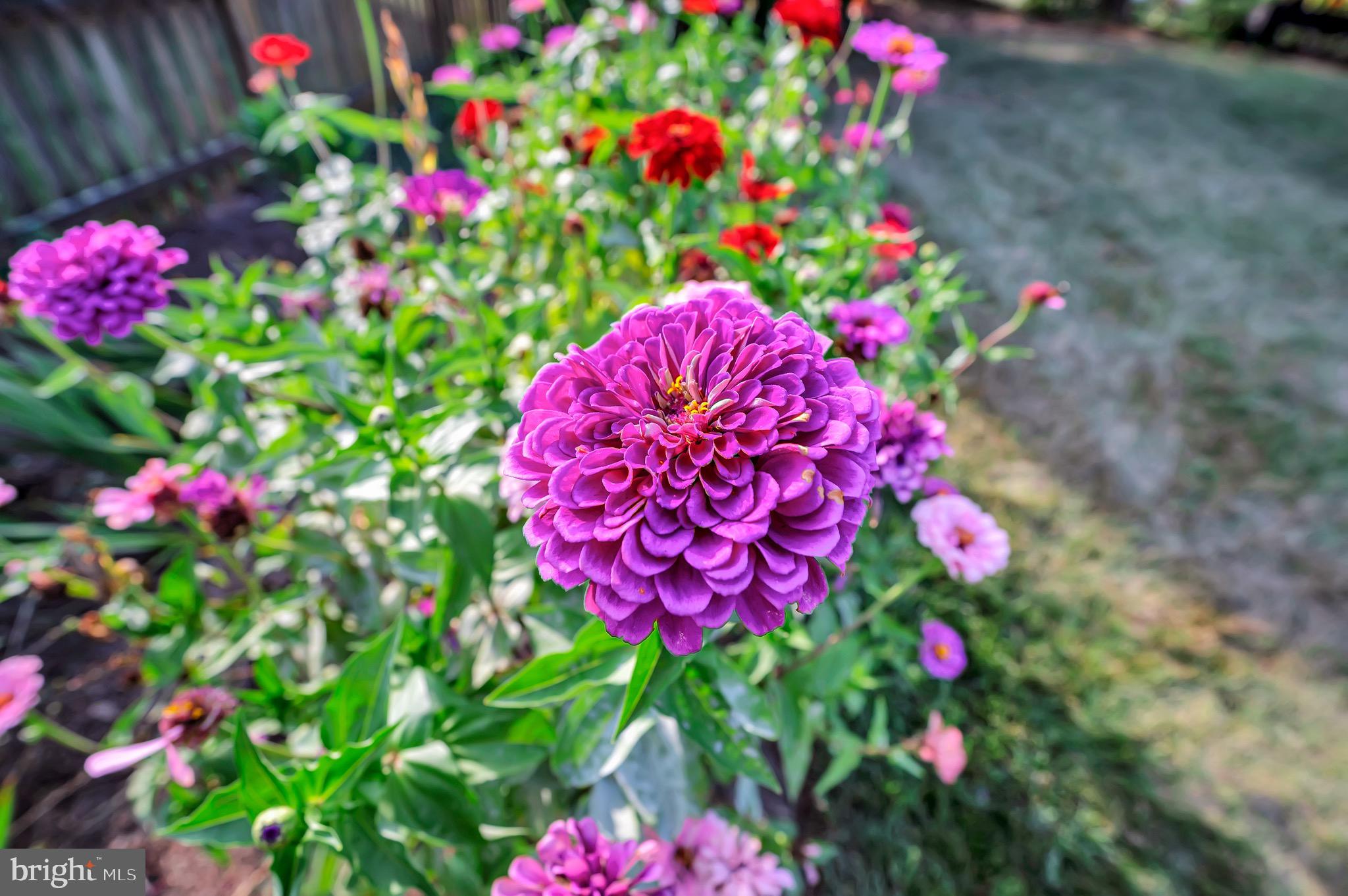 CLEARVIEW HEIGHTS - Residential