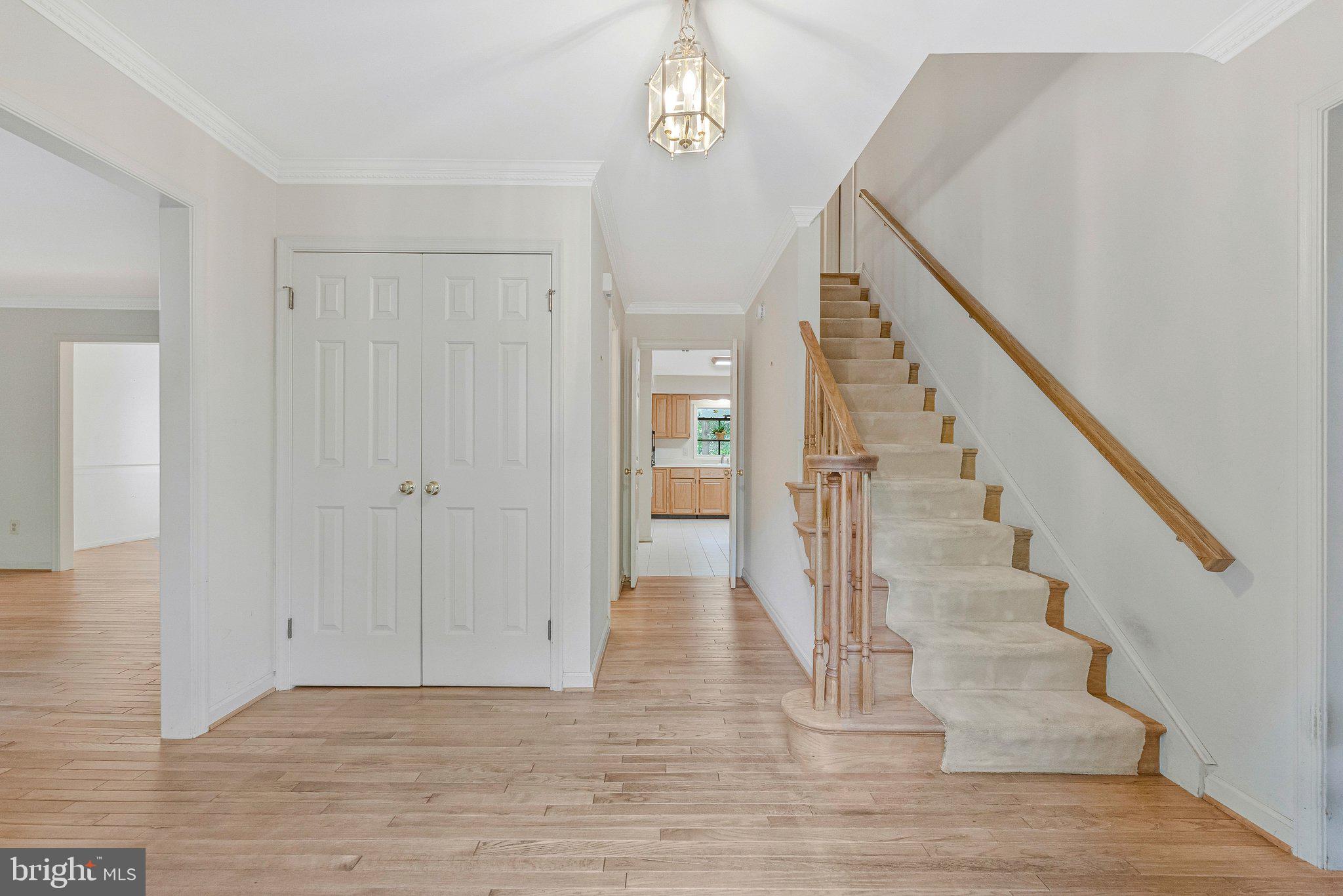 3806 HAYNSWORTH PLACE