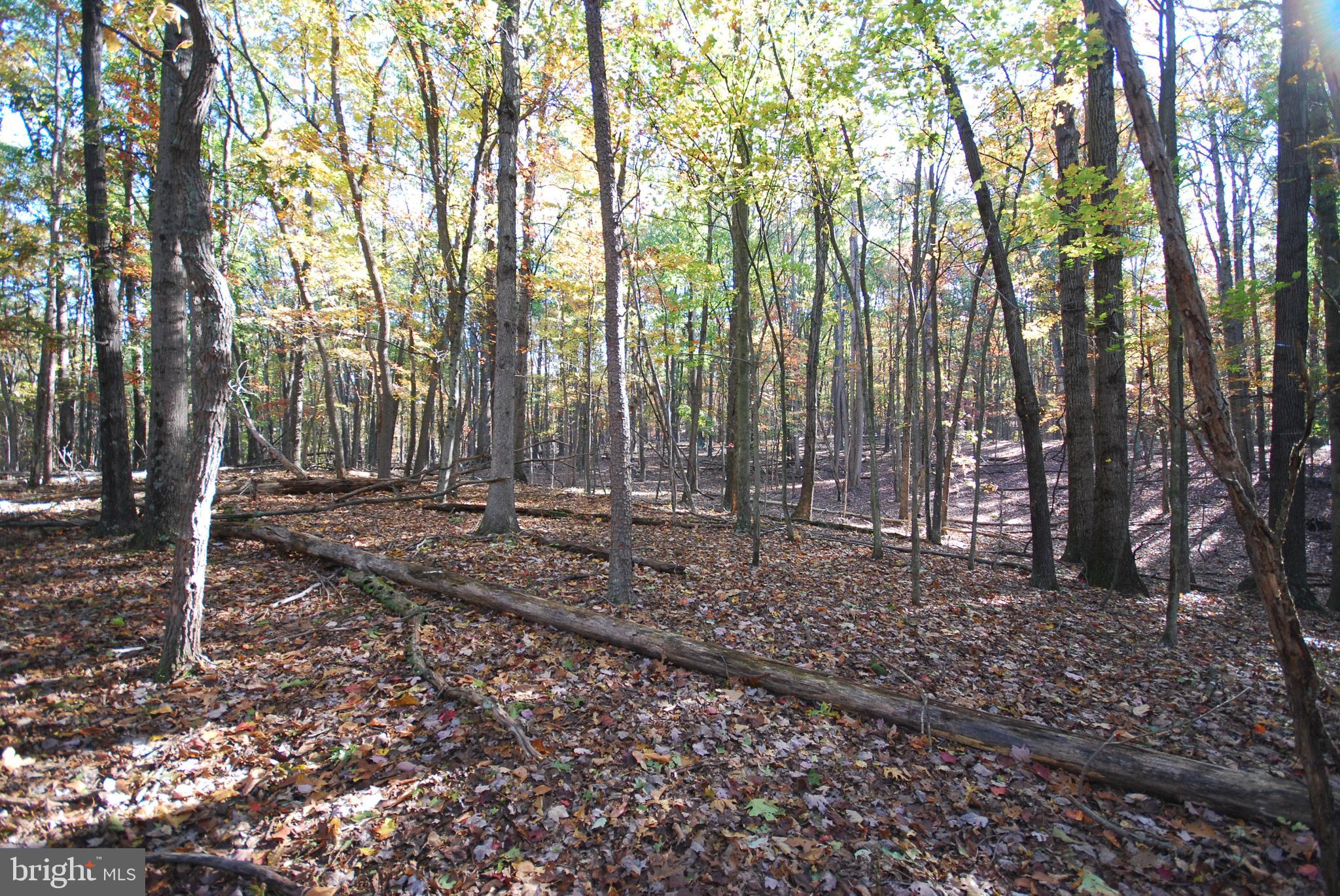 POTOMAC WOODS - Land