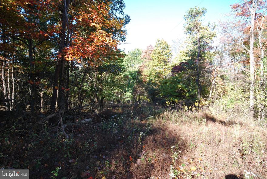 Take a look at this fantastic build location in the heart of Morgan County. This property offers utilities (well and electric) already on sight with a driveway that was previously maintained many years ago. Throughout the property you will find large maples that offer gorgeous colors through spring and fall. Plenty of wildlife sign was located throughout indicating the potential for good hunting or wildlife watching.

Perc record and well install on record with the county