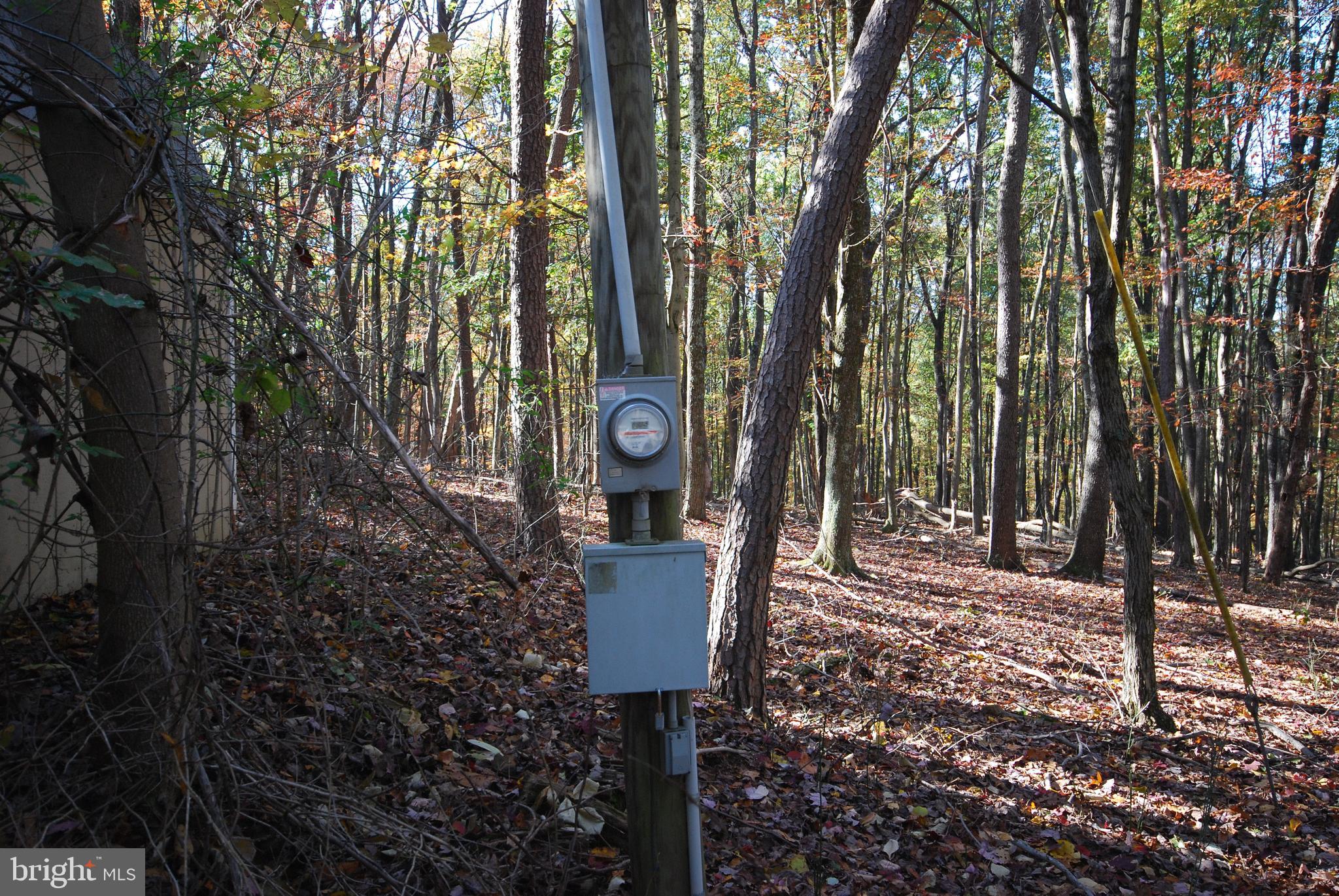 POTOMAC WOODS - Land