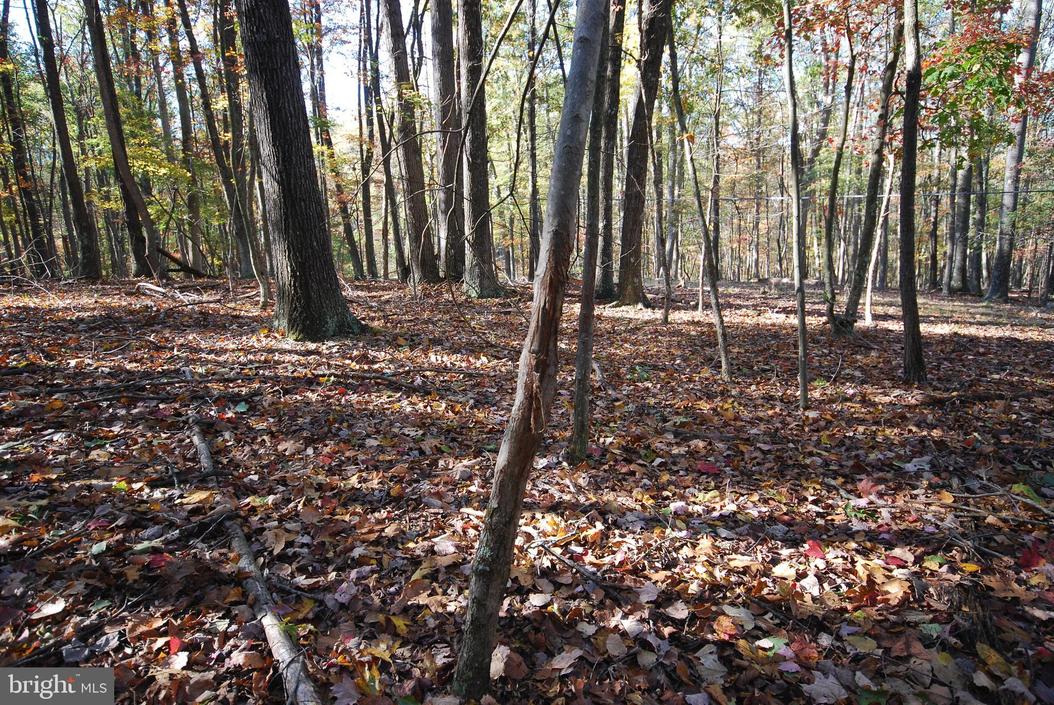 POTOMAC WOODS - Land