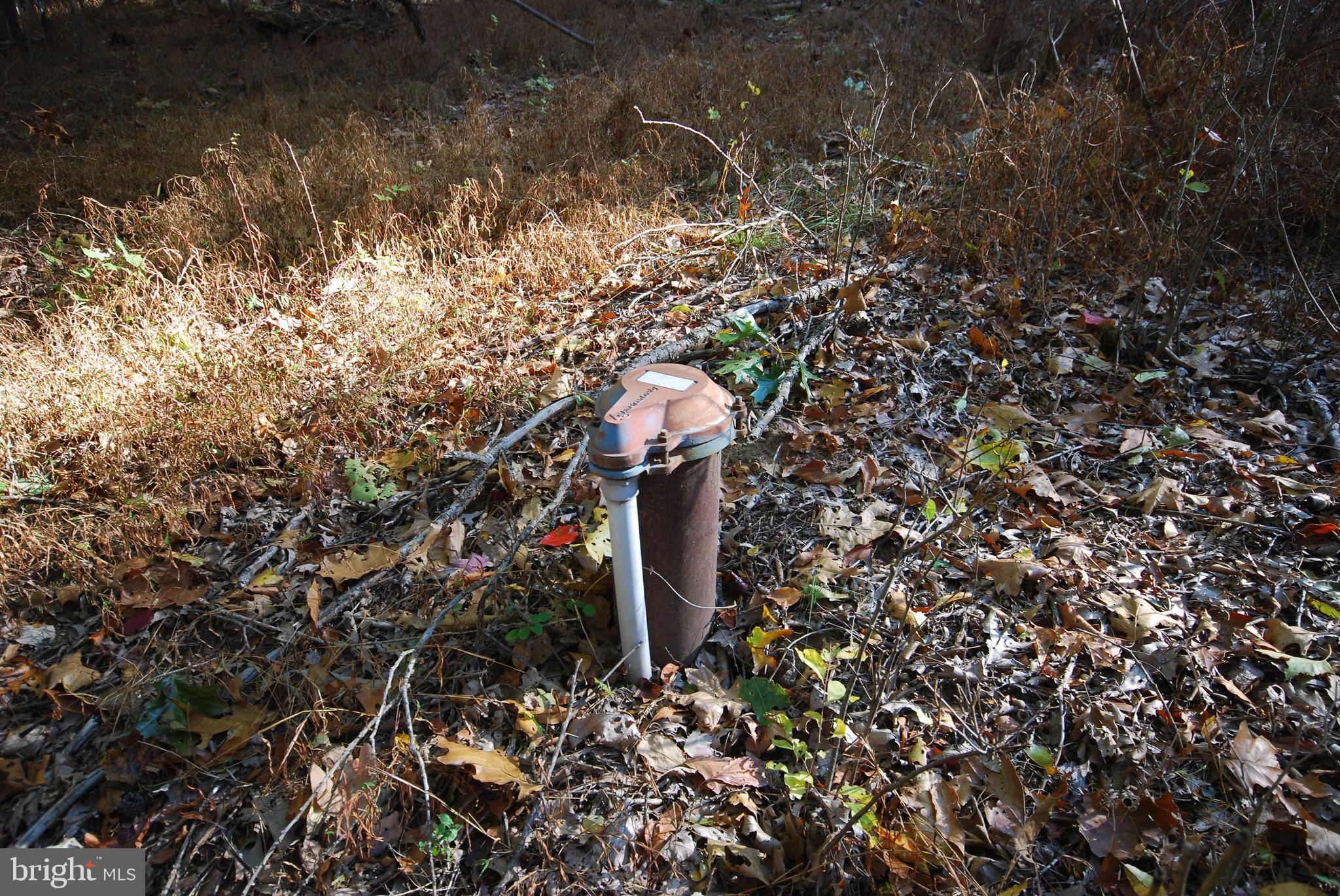 POTOMAC WOODS - Land