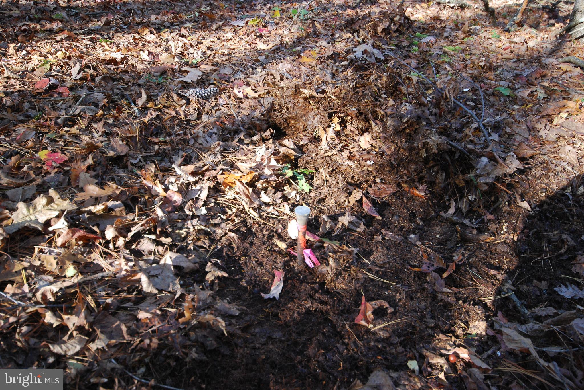 POTOMAC WOODS - Land