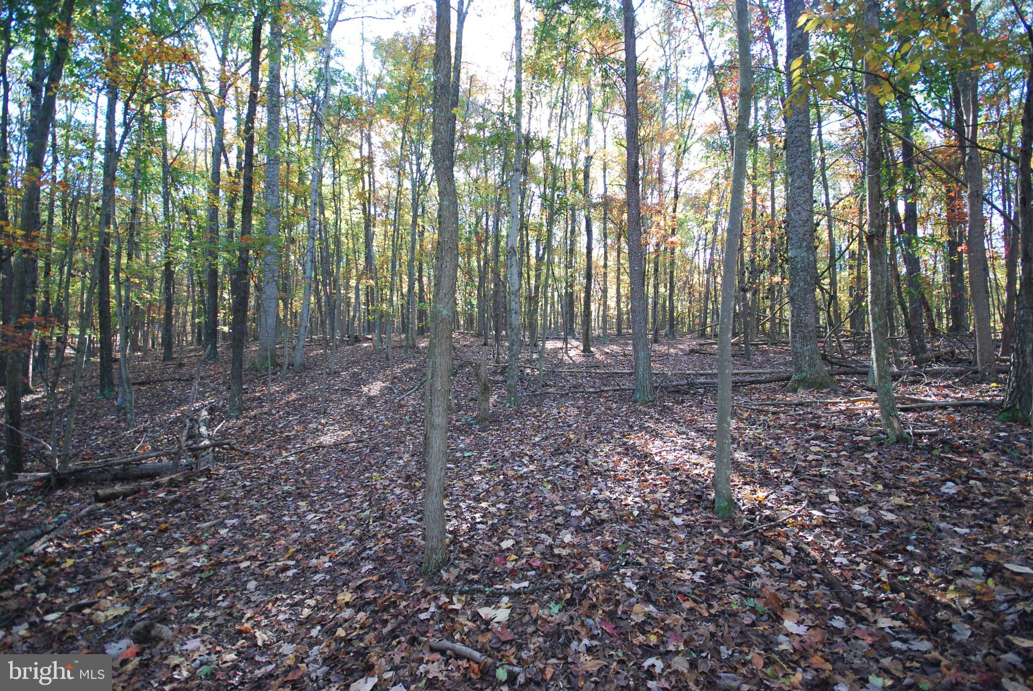 POTOMAC WOODS - Land
