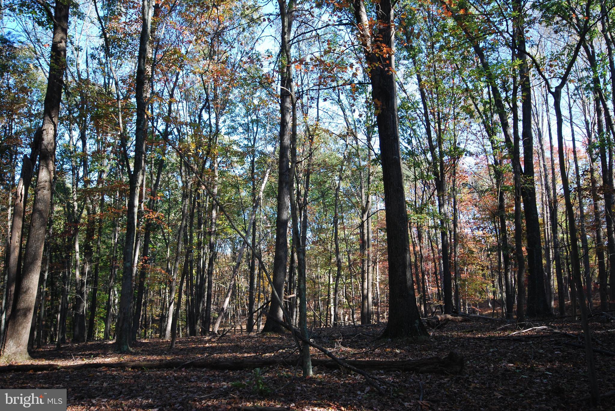 POTOMAC WOODS - Land