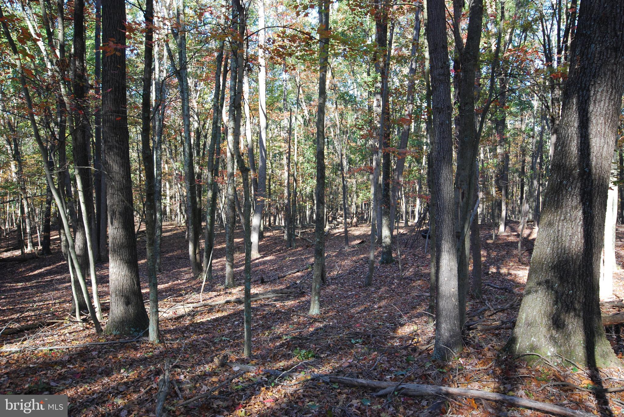 POTOMAC WOODS - Land