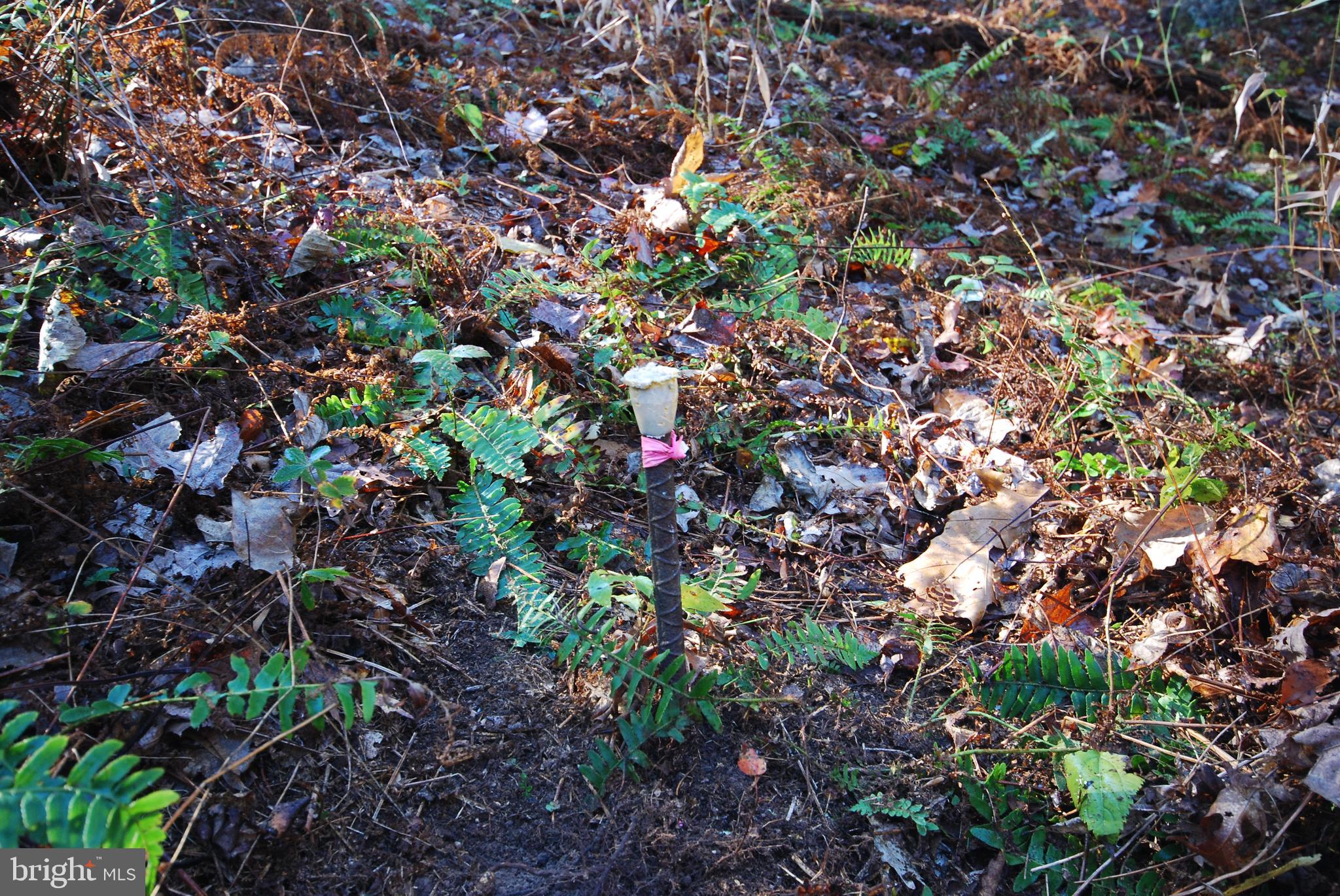 POTOMAC WOODS - Land