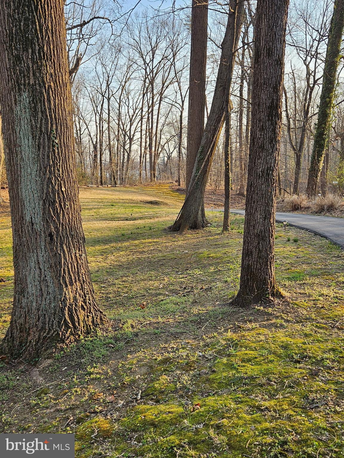 1711 RITCHIE HIGHWAY